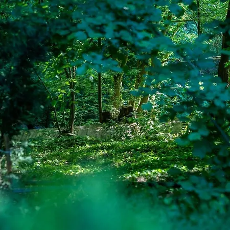 Hotel The Canyon And Restoran *